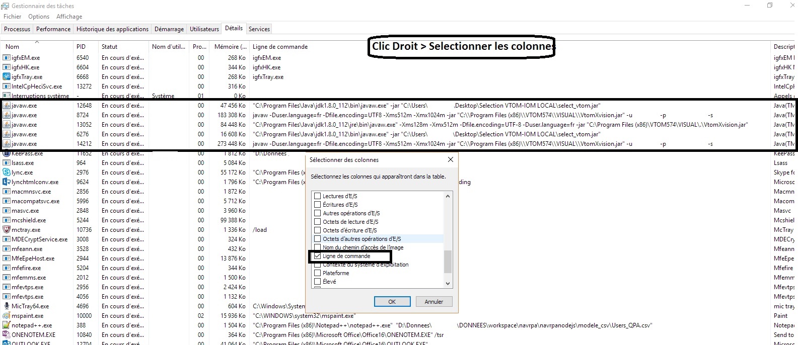 process_java_windows_taskmg