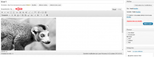 wordpress_galerie_tuto_1